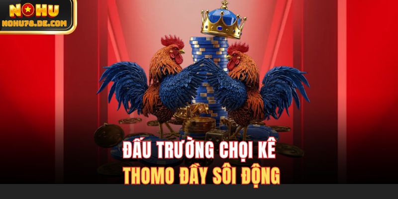 Đấu trường chọi kê Thomo đầy sôi động