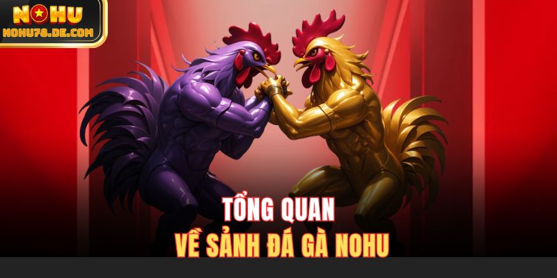 Tổng quan về sảnh đá gà Nohu